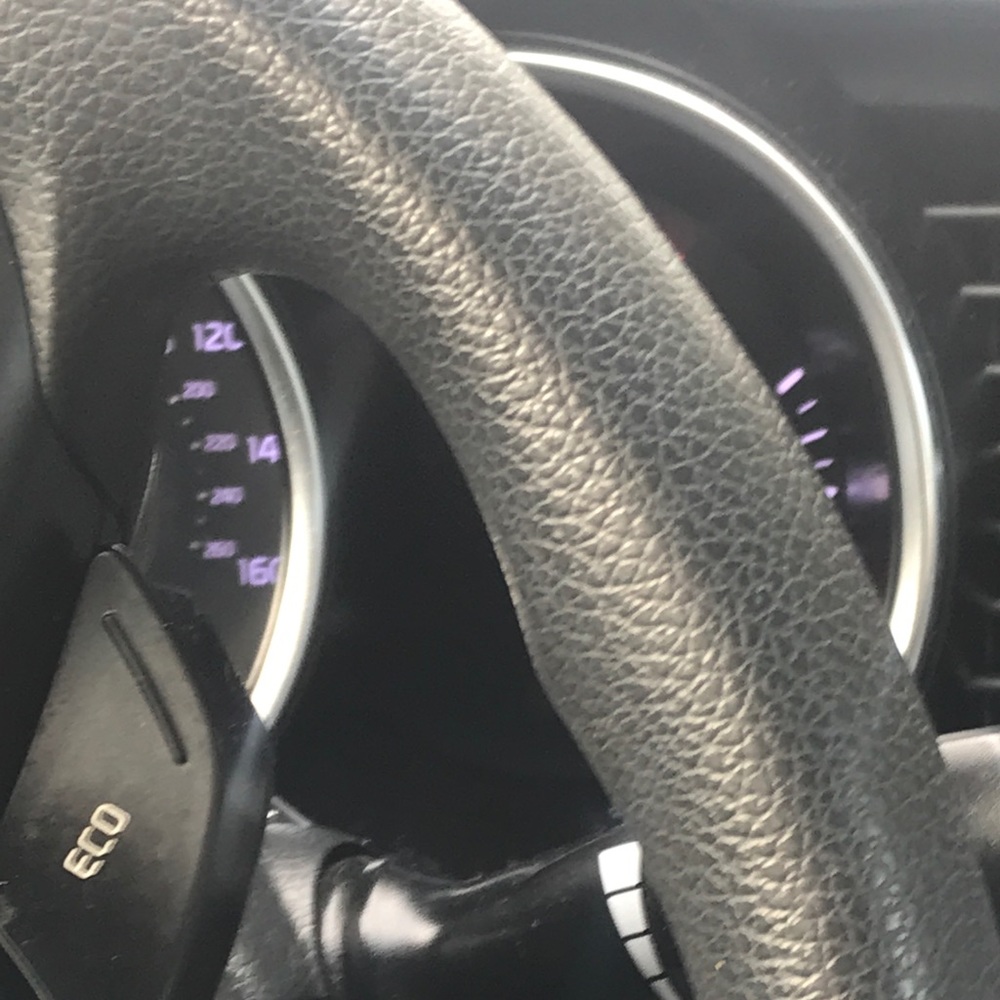 Meet your Posher, Lilly